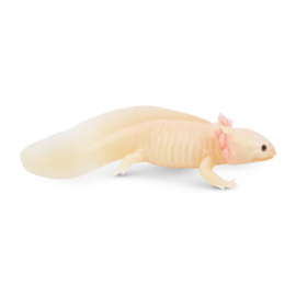 Axolotl Toymany