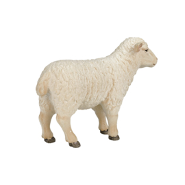 Sheep   Mojo 387096