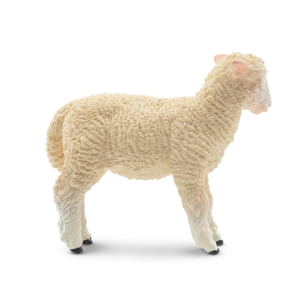 White Lamb Toymany