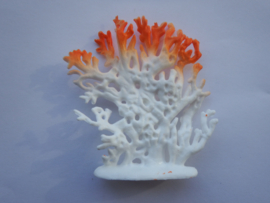 Koraal wit/oranje