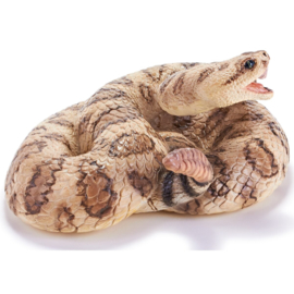 Rattlesnake  Recur 16068