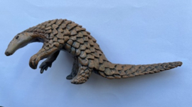 Schubdier Pangolin