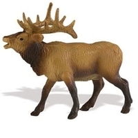 Wapiti Safari 292329