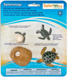 Zeeschildpad levenscyclus