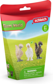 Chicken friends 42574