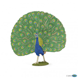 Peacock Papo 51161