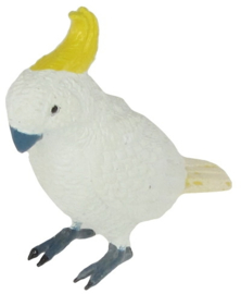 Sulphur-crested Cockatoo