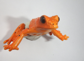 Gouden mantella   Yujin