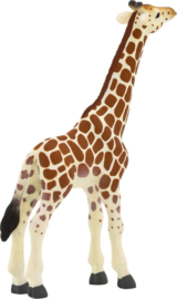Giraffe kalf Mojo 387007