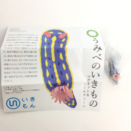 Zeenaaktslak Hypselodoris festiva