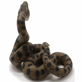 Green Anaconda  CollectA 88688