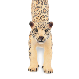Jaguar Stretching Male  Toymany