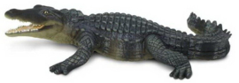 Crocodile     S272729