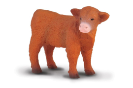 Scottish Highlander Calf    CollectA