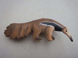 Giant anteater