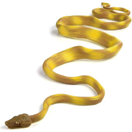 Amazone boomboa  S257629