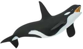 Orca  S275129
