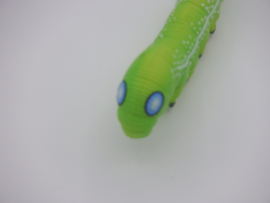 Daphnis nerii  caterpillar  Oleander butterfly