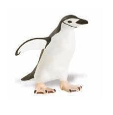 Chinstrap penguin S220429