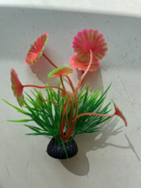 Waterplant E  schotel