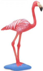 Flamingo   S100262