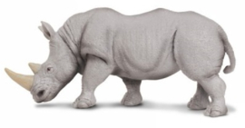 Neushoorn (witte)  S270229