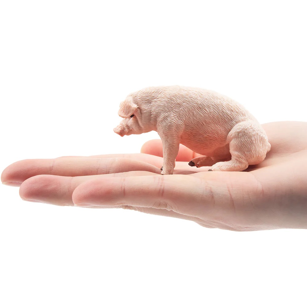 Male Adult Pig   Toymany