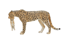 Cheetah met jong  Mojo 387167