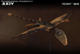 Dimorphodon "Judy" Rebor