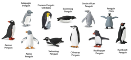 Penguins   S683404