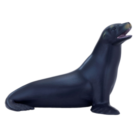 Californian sealion  Mojo 387115
