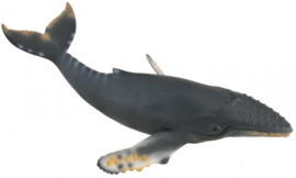 Humpback CollectA 88347