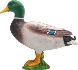 Wild duck  Mojo 387127
