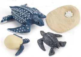 Lederschildpad levenscyclus