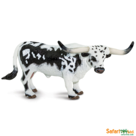Texas Longhorn  stier S100261