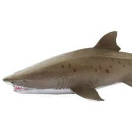 Sand tiger shark Safari 100369