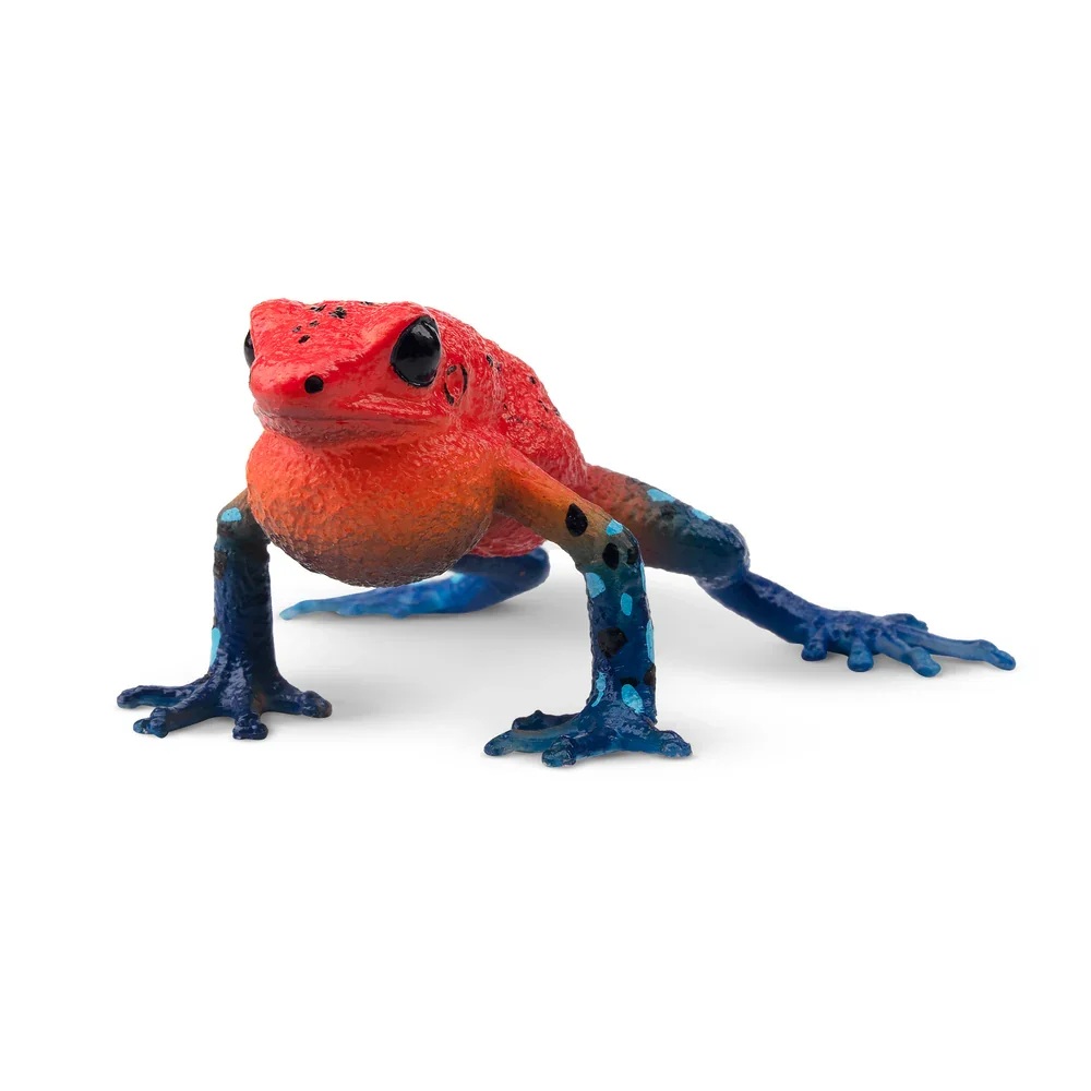 Strawberry frog Toymany