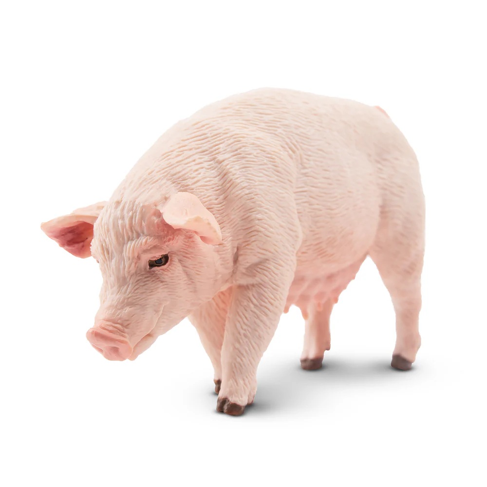 Female Adult Pig  Toymany