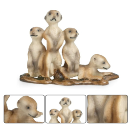 Meerkatten groep (klein)