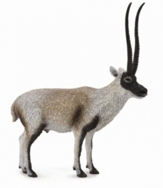 Chiru (Tibetantilope)   CollectA 88721