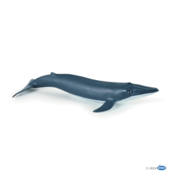 Blue Whale Calf     Papo 56041