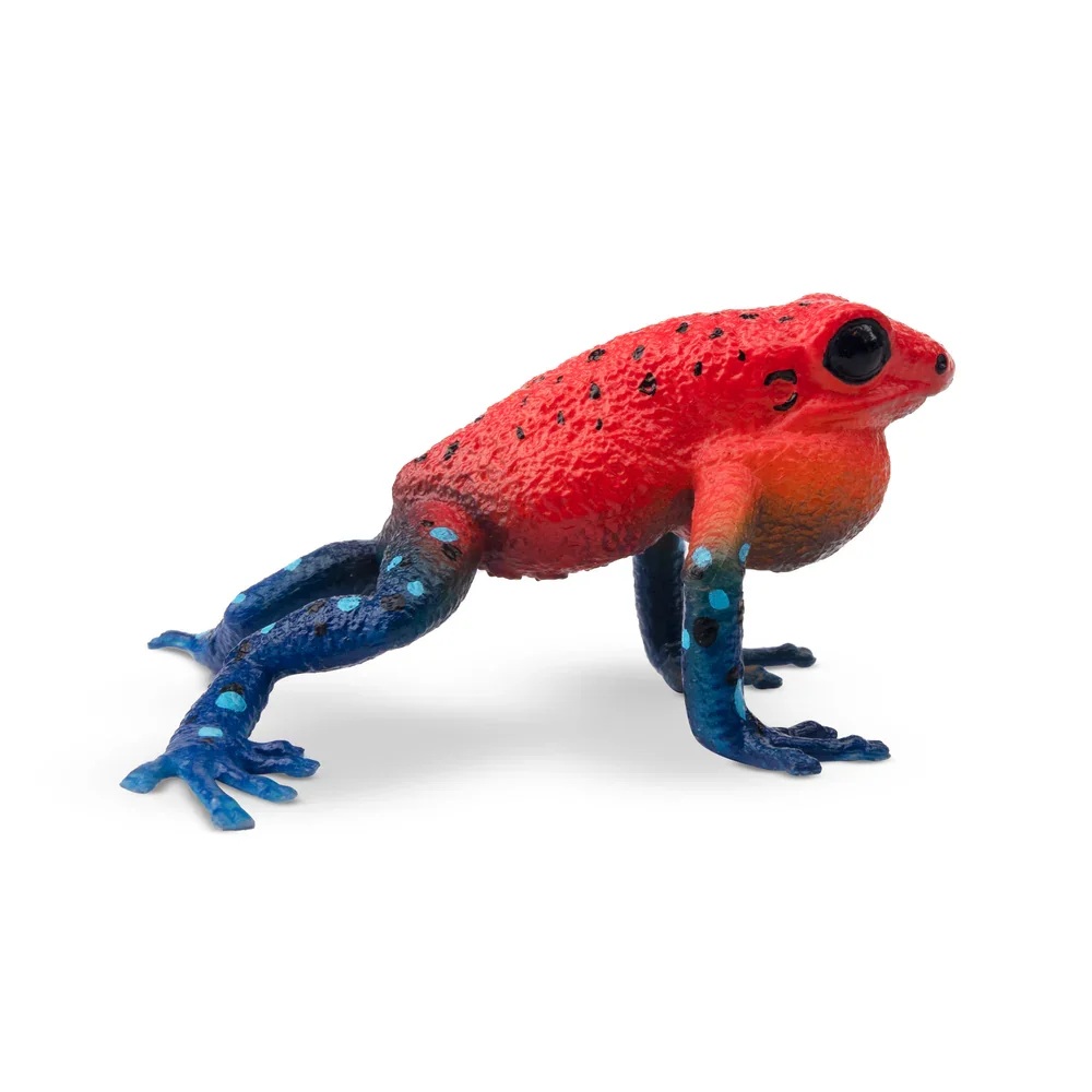 Strawberry frog Toymany