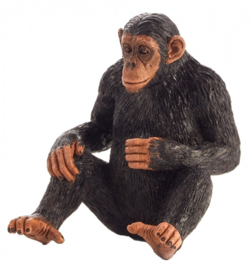 Chimpansee  Mojo 387265