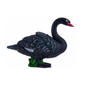 Black Swan  Mojo 381067