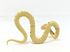 Ryukyu Odd-tooth Snake or Tricolor banded snake