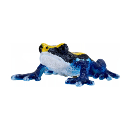Poison Dart Frog blue    Mojo 381069    june 2025