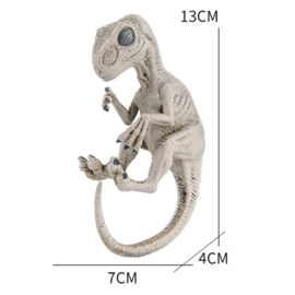 Velociraptor baby