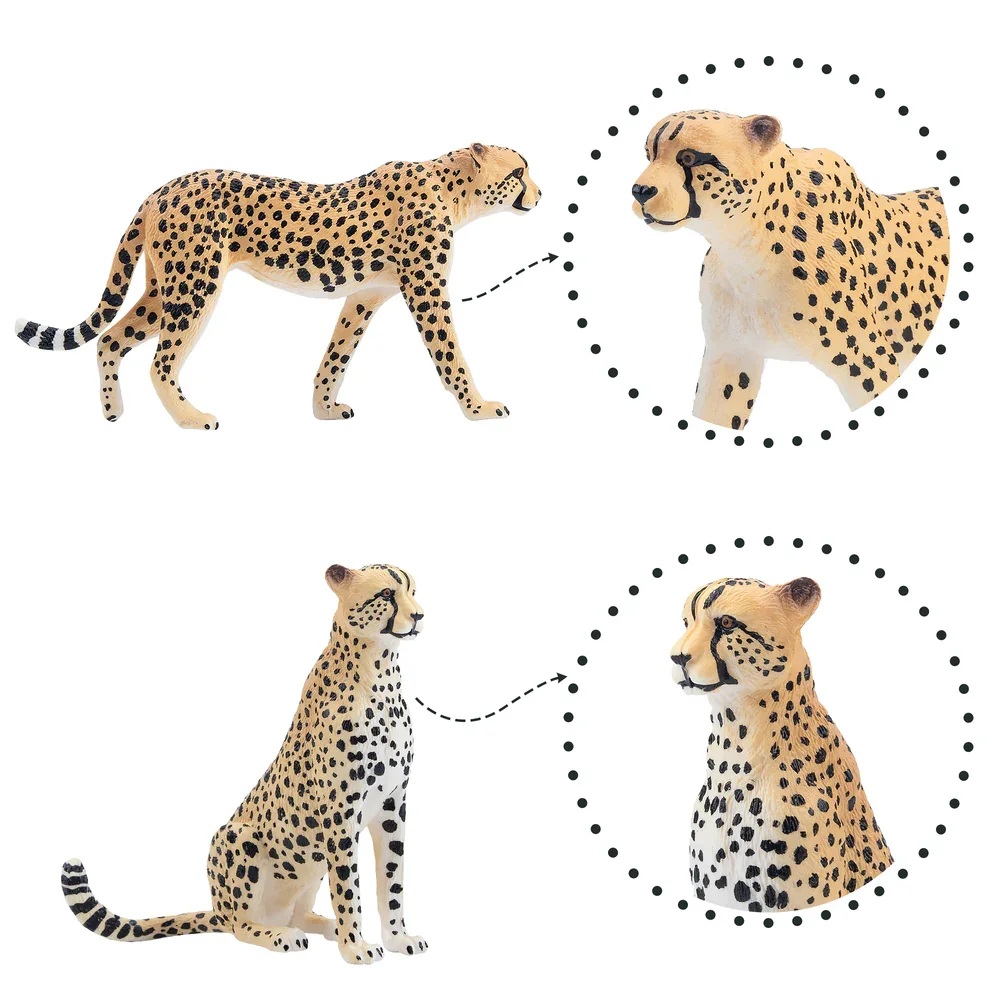 Cheetah family  (8 ex.)