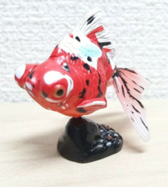 Goudvis Kaiydodo P41c  Demekin