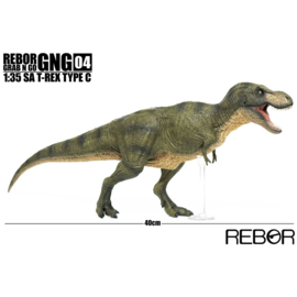 TRex Grab & Go serie Rebor 98007